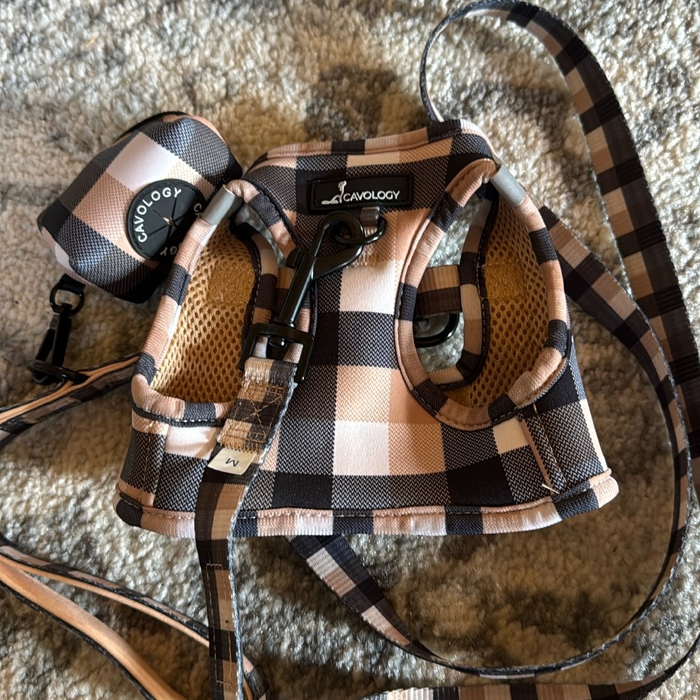 Dog Harness and Leash Set